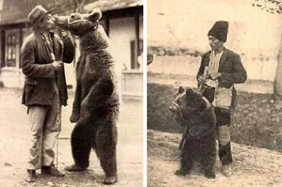 Ursari, jocul ursului, călcat de urs