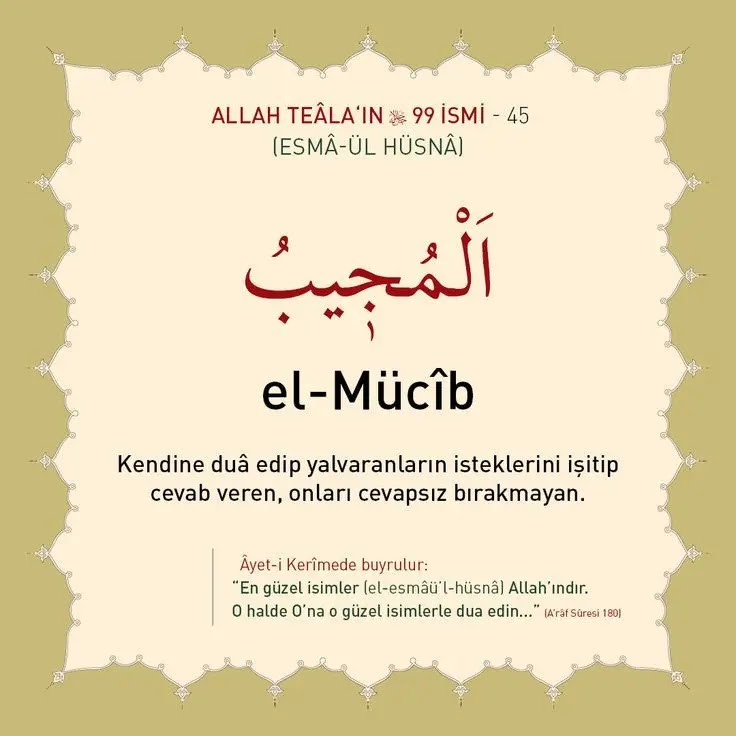 El-Mucib Anlamı, Zikir Sayısı, Fazileti ve Sırları