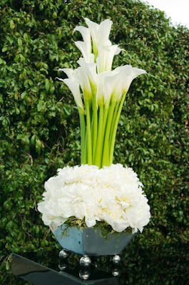 Gambar Bunga Lili Putih Yang Cantik_White Lily 2016012