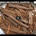 DALCHINI CAN CONTROL DIABETES , HEALTH EDUCATION , INFECTION CONTROL, HINDI