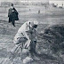 ANALİZ 2:   OSMANLI'NIN YIKILIŞI 1908