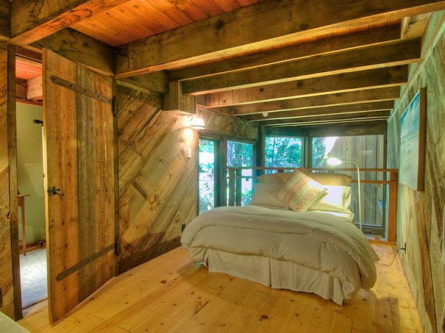 Photo of king size bed inside of tree house in the forest