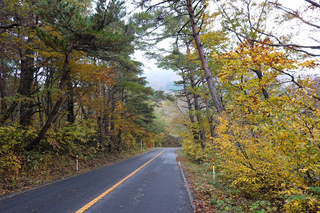 鳥取県西伯郡伯耆町大内　鳥取県道45号倉吉江府溝口線（大山環状道路）