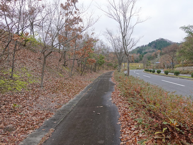 とっとり花回廊のゲートから右に歩道を歩きます