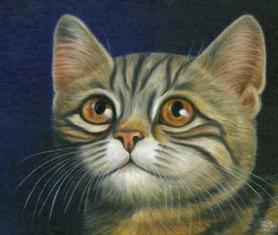 Gambar Lukisan Kucing  Galeri Online Khusus Berkelas Anak 