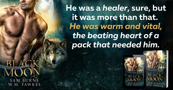 He was a healer, sure, but it was more than that. He was warm and vital, the beating heart of a pack that needed him.