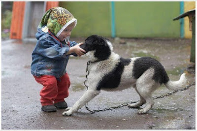 foto divertenti, bambino e cane