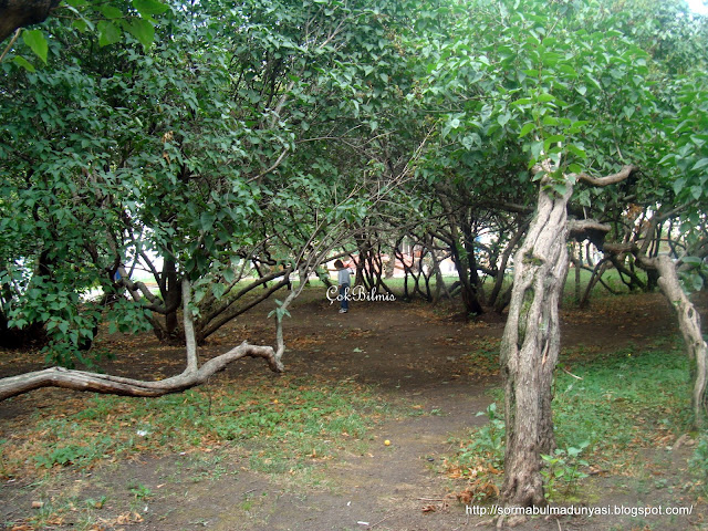 moskova da cocukla gitmeyi en sevdigimiz yer park kulturi gorki park park gorkogo 10