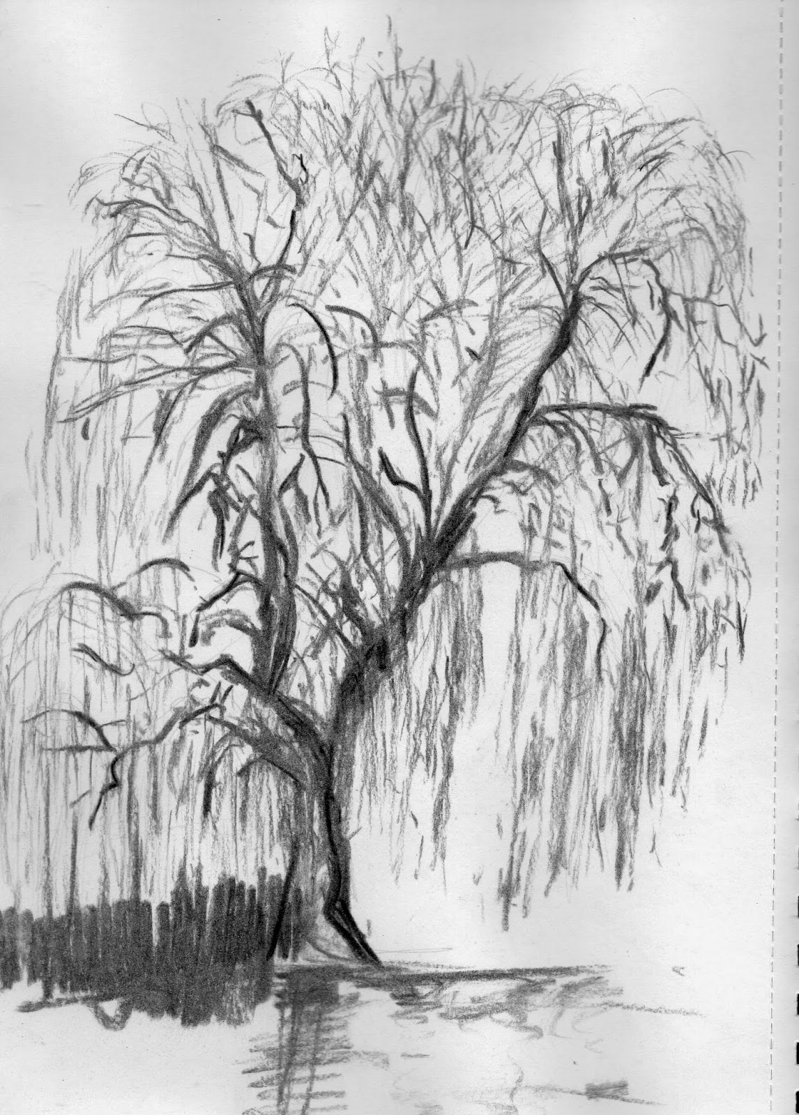 Aylish's OCA Learning Log: Project Drawing Trees: Sketching an