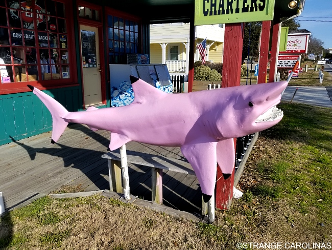 Bob's Pink Shark (Kitty Hawk, NC)