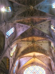 IMG_3862