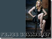 Renee Zellweger 1024x768 (3)  cool desktop wallpapers