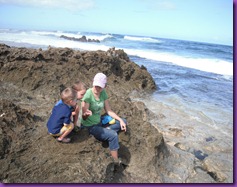 tidepool 030