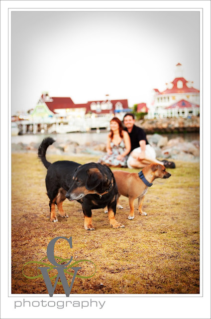 Engagement Portrait, Long Beach