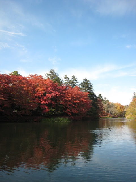 軽井沢　雲場池