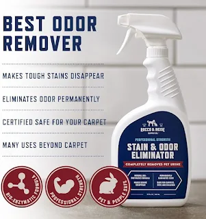 Best Pet Stain and Odor Remover to Choosing Ultimate Guide