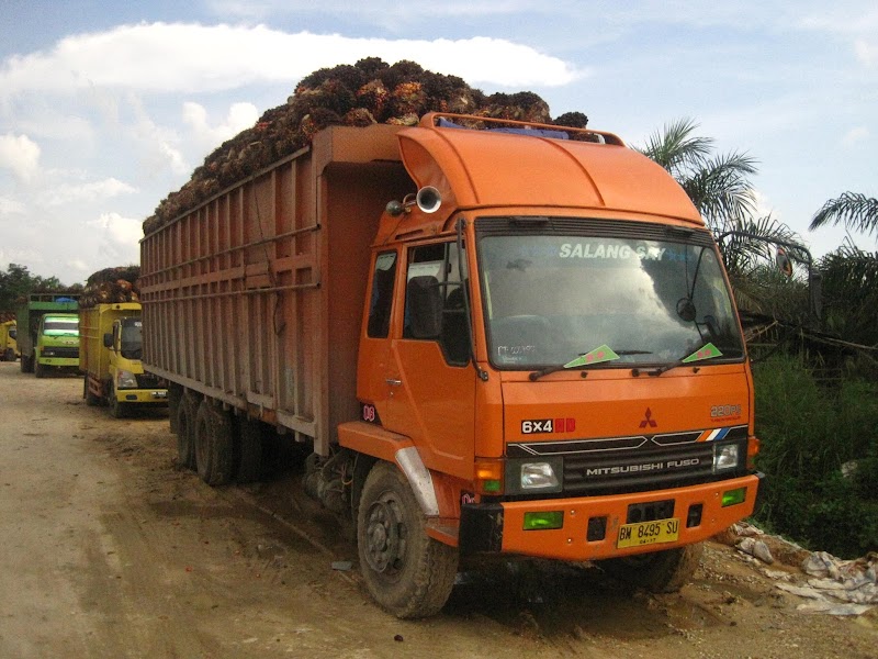 Inspirasi Penting Gambar Truk Fuso Hino