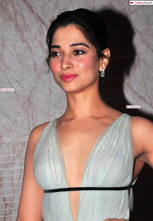 tamannaah 2016 south scope awards49.jpg