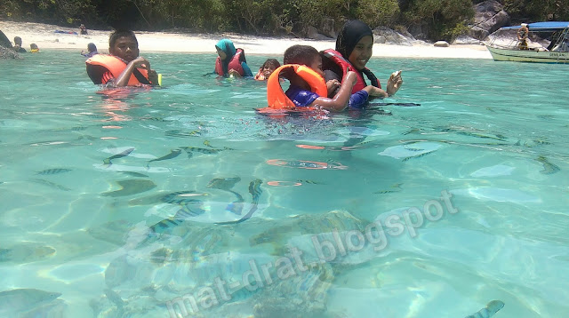 Tempat Snorkeling best di Pulau Perhentian