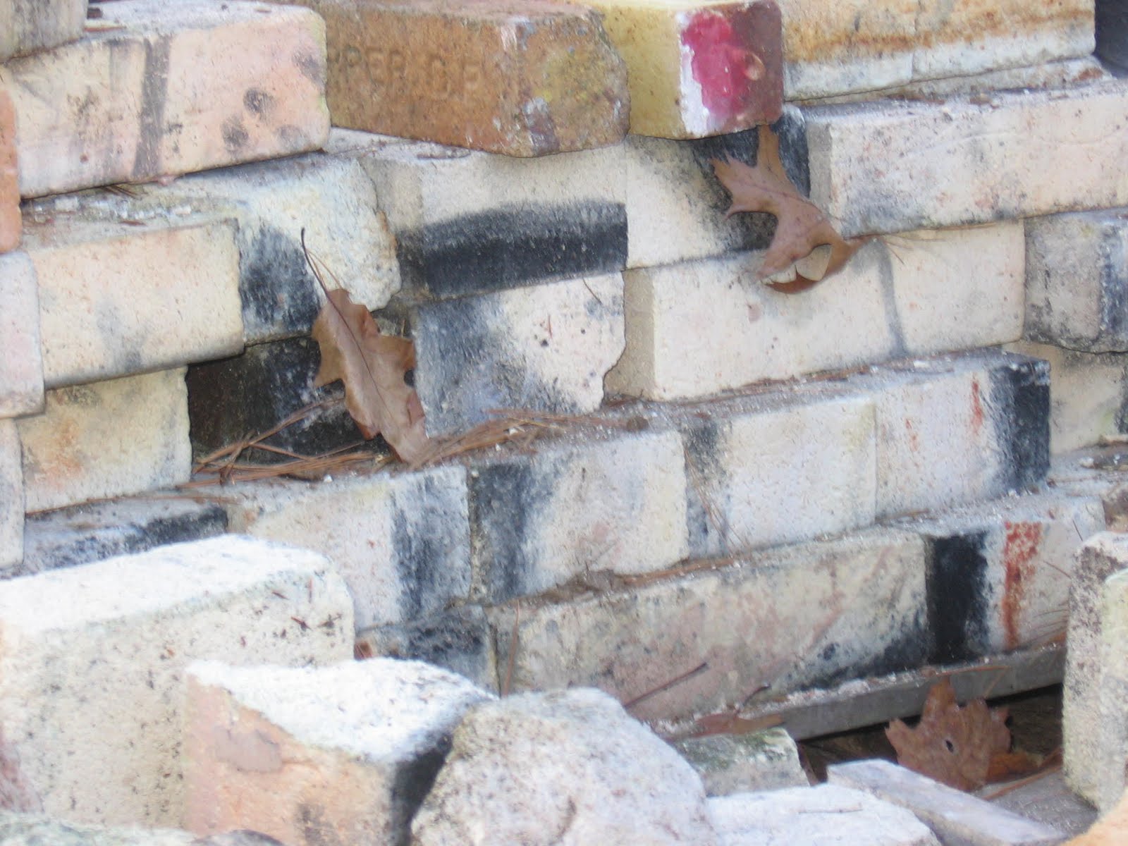 building wood kiln