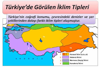 Türkiye’de İklim Tipleri ve Bitki Örtüsü