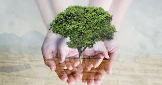 Green Computing: Saving the World from Environmental Pollution
