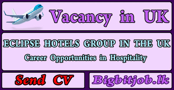 Hotel Job Vacancy in UK - 2023, Hotel Job Vacancy in UK - 2023 Hotel Job Vacancy in UK - 2023 Hotel Job Vacancy in UK - 2023 Hotel Job Vacancy in UK - 2023 Hotel Job Vacancy in UK - 2023 Hotel Job Vacancy in UK - 2023 Hotel Job Vacancy in UK - 2023 Hotel Job Vacancy in UK - 2023 Hotel Job Vacancy in UK - 2023 Hotel Job Vacancy in UK - 2023 Hotel Job Vacancy in UK - 2023, Hotel Job Vacancy in UK - 2023, Hotel Job Vacancy in UK - 2023 Hotel Job Vacancy in UK - 2023, Hotel Job Vacancy in UK - 2023, Hotel Job Vacancy in UK - 2023