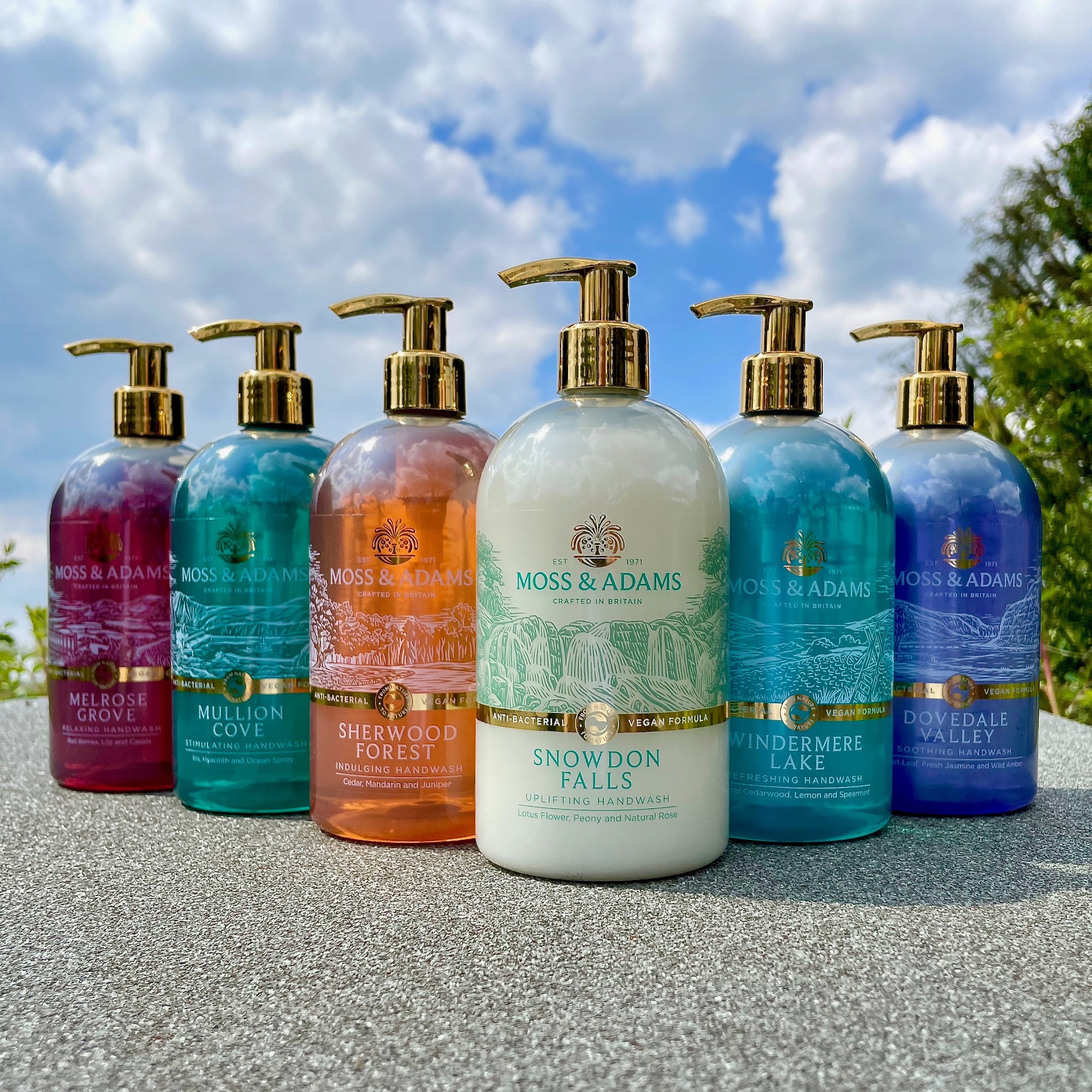 Moss & Adams Handwash Collection Bottles