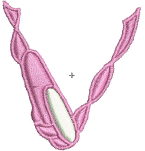 alfabeto zapatilla de ballet