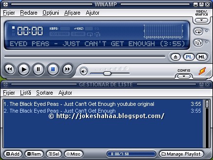 Winamp_audio_video_player_playlist