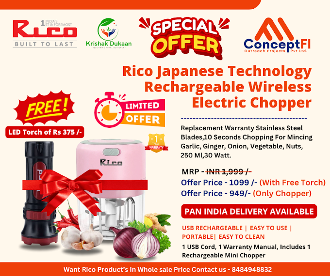 Rico Japanese Technology Rechargeable Wireless Electric Chopper Review