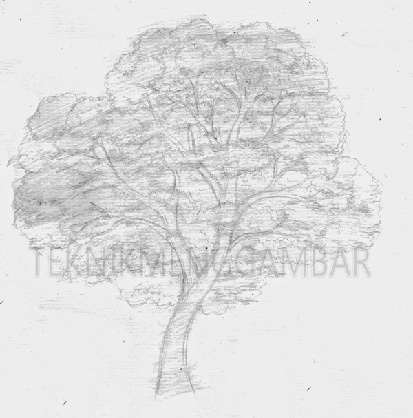  Gambar  Teknik Menggambar Pohon Setelah Sketsa Global 