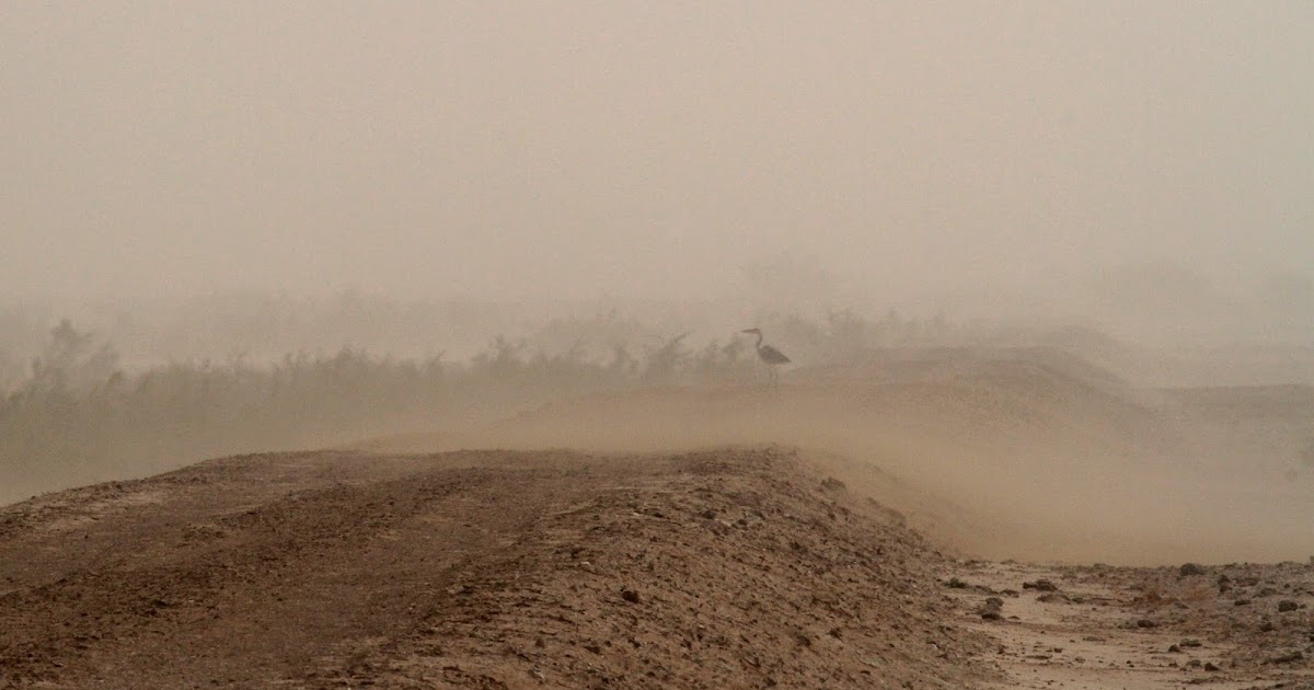 Brume sèche, brume de poussière, chasse-sable et tempête de sable