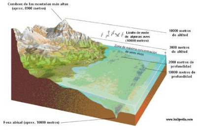 esquema de la biosfera