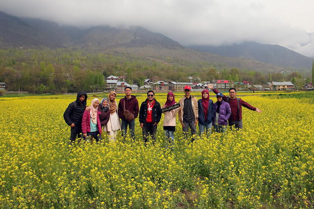 Mustard Garden - Kashmir Spring 2019