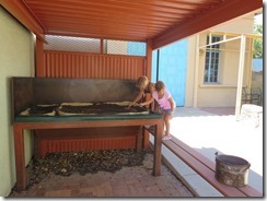 IMG_3867