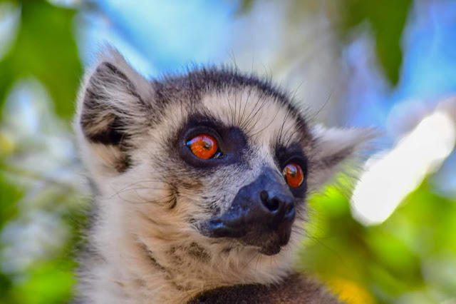 Skupinová tura v Madagaskaru