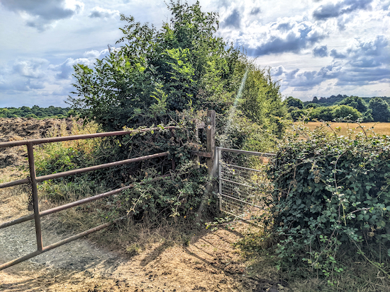 Head E with the hedgerow on the left and field on the right