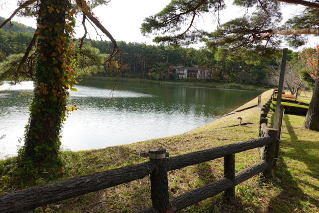 鳥取県西伯郡伯耆町丸山　ロイヤルシティ大山　別荘地　大成池