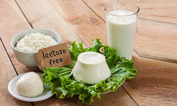 اللاكتوز Lactose