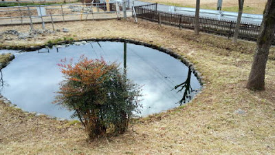 町田市の湧水が鶴見川源流