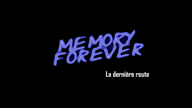 Memory Forever 3 de Stéphane Grare