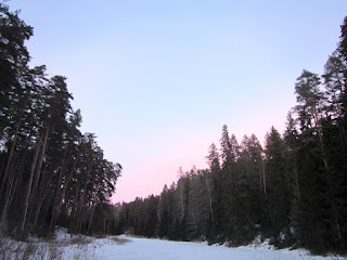 Elva paisjärv