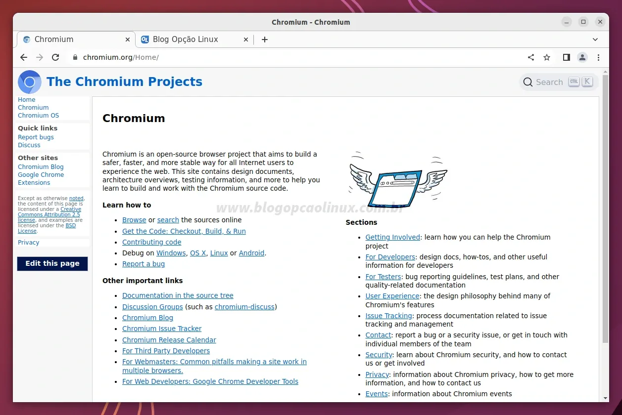 Chromium executando no Ubuntu 22.10 (Kinetic Kudu)