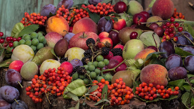 夏季水果,健康食材,抗氧化水果,利尿,排毒,活化腸道菌群,預防泌尿道發炎,藍莓,覆盆莓