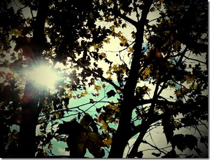 C360_2012-05-01-12-36-33