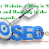 Why My Website / Blog is Not Present and Ranking in the Google search
