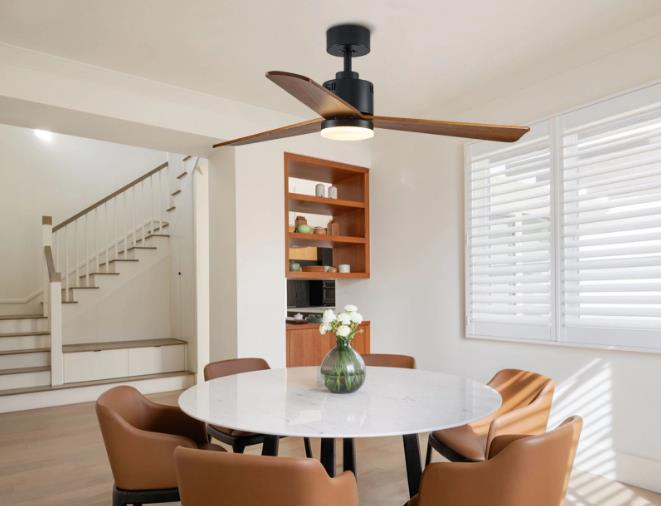 If you want good lighting and comfortable temperature in your home during summer, consider getting a ceiling fan with light