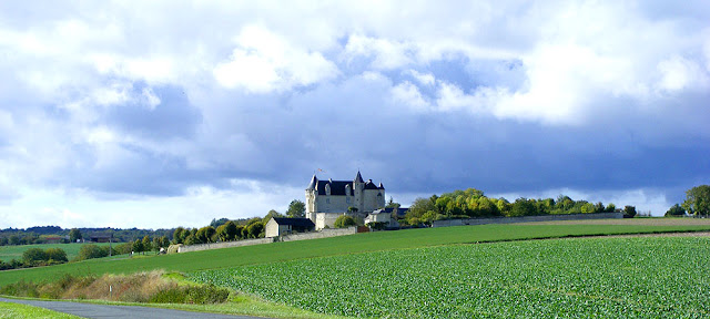 Chateau de la Motte-Usseau, Vienne, France. Photo by Loire Valley Time Travel.