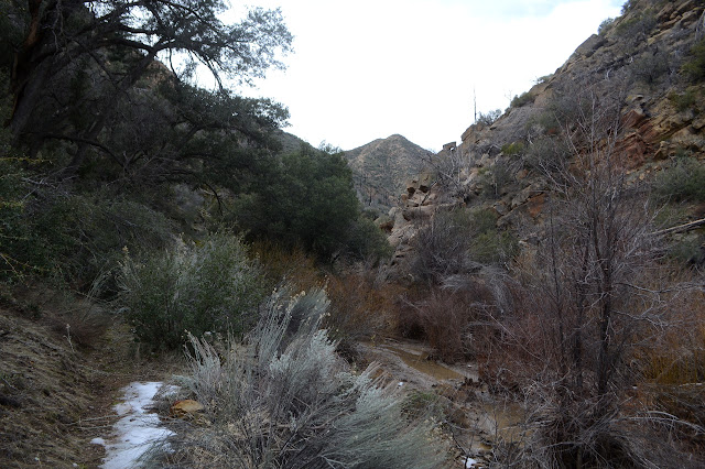 Rancho Nuevo Trail